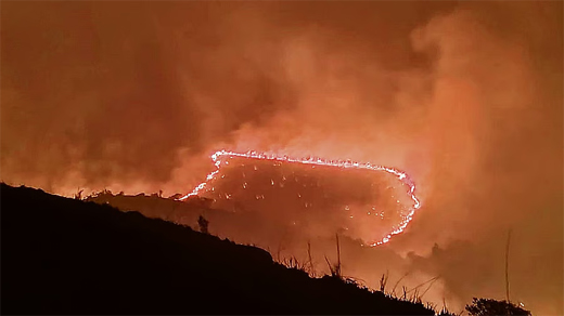 Kudremukh fire